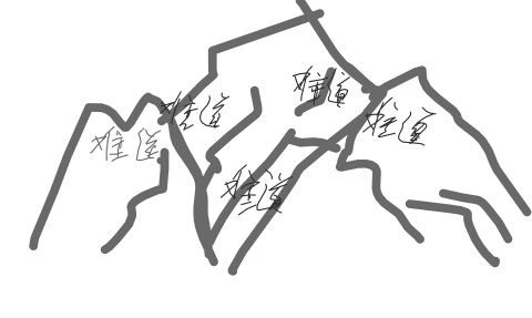 山上有很多难道